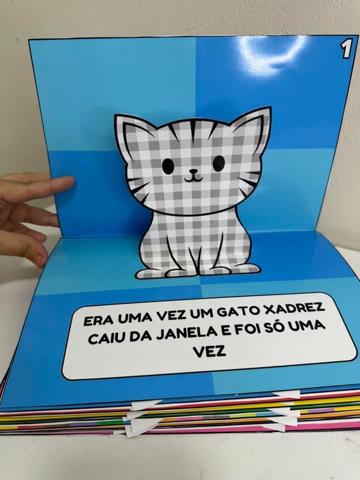 Gato Xadrez no Jardim do Relogio - Serie Fa do Gato