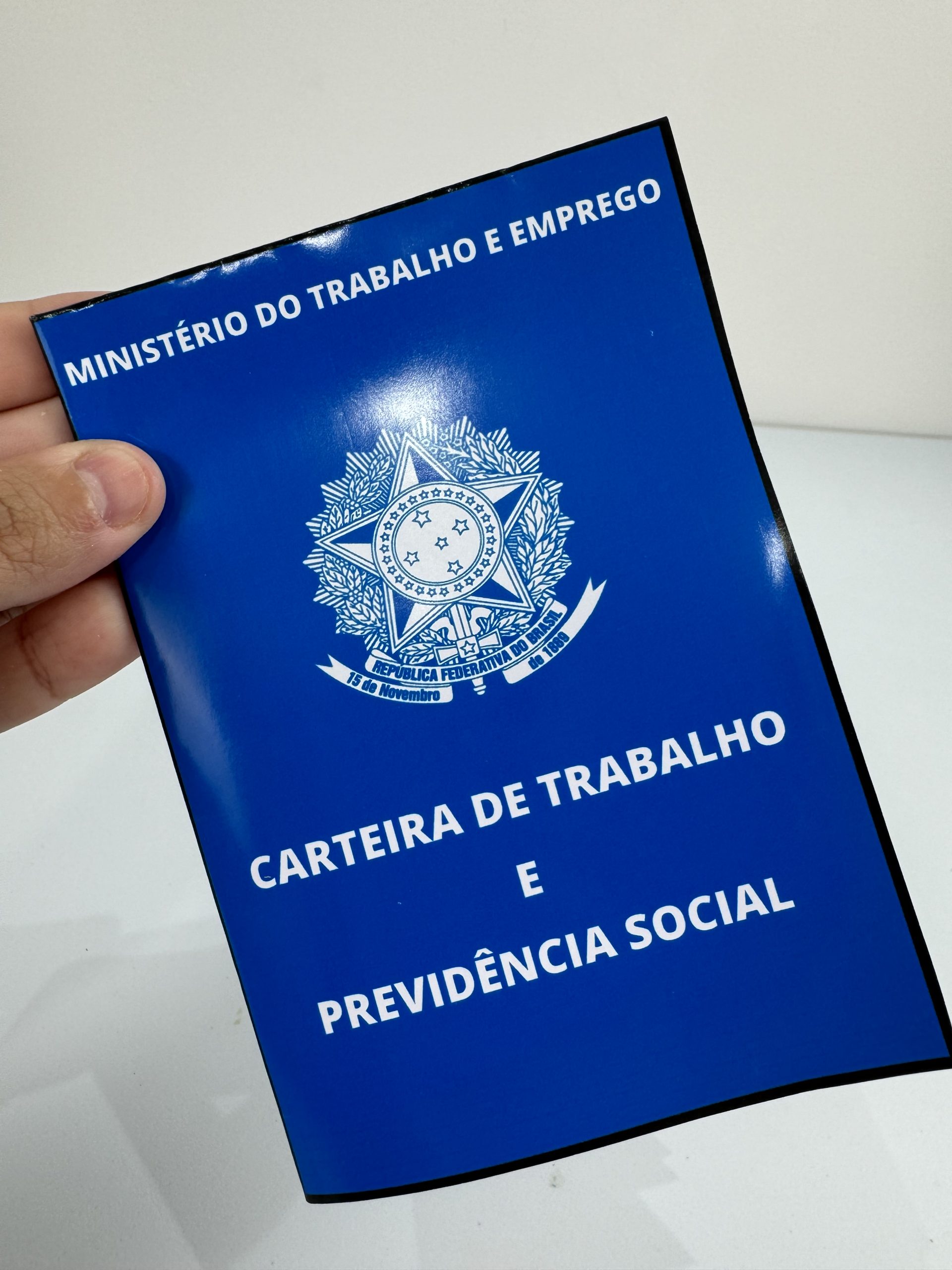 📘 Carteira de Trabalho — Atividade Interativa