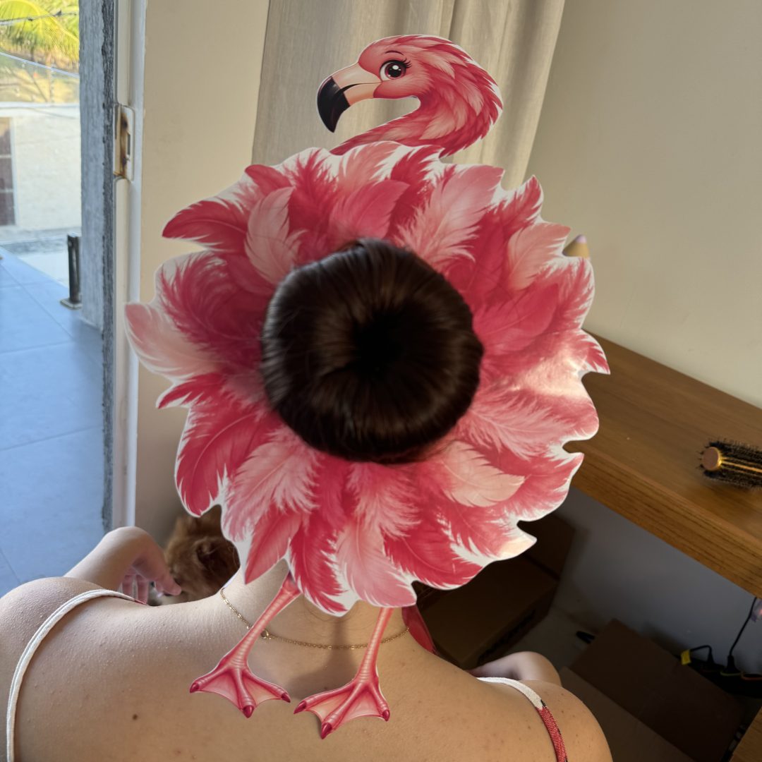 🦩💗 Cabelo Maluco — Flamingo