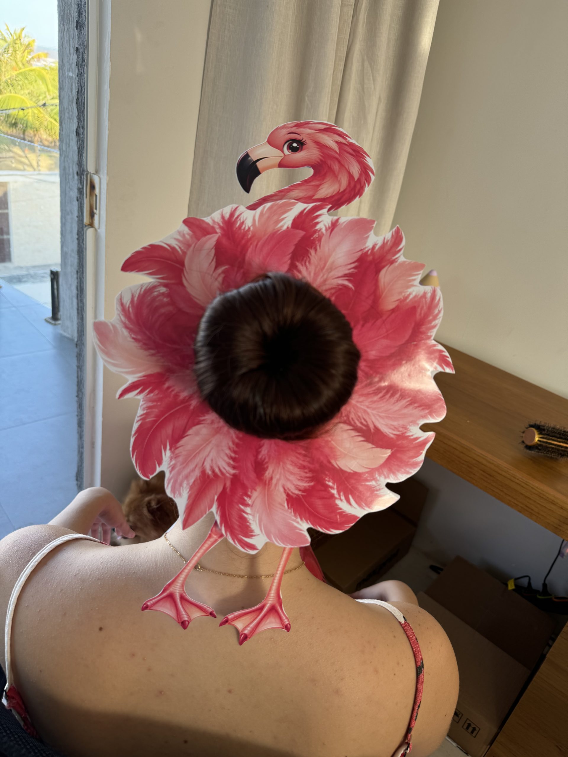 🦩💗 Cabelo Maluco — Flamingo