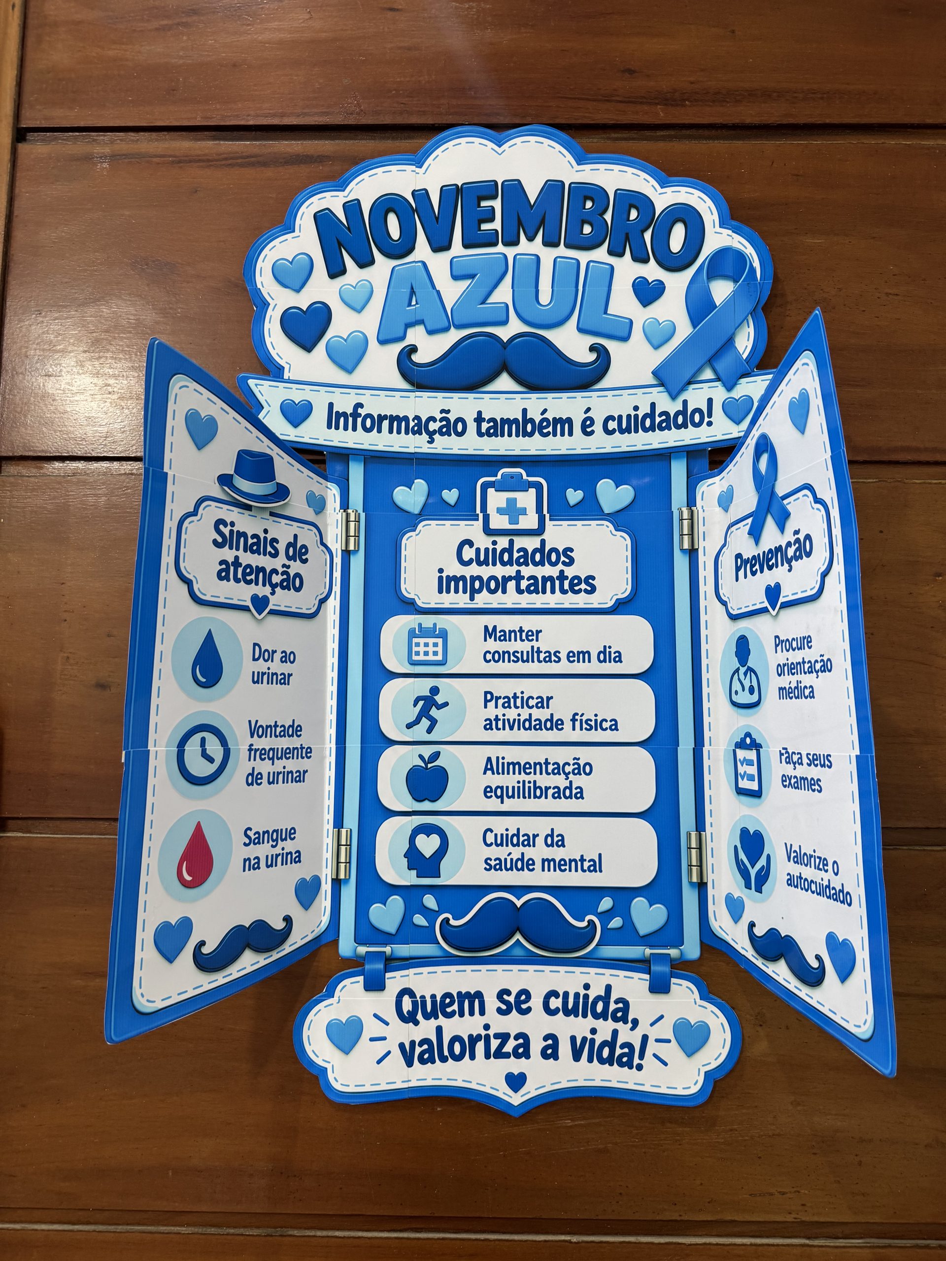 💙🩺 Placa de Porta Informativa — Novembro Azul 💙 - Imagem 6